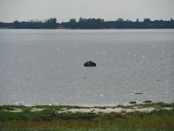 Halshuisene + Enebaerodde Beach (Denemarken)